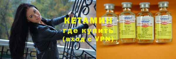 индика Осинники