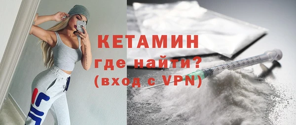 индика Осинники