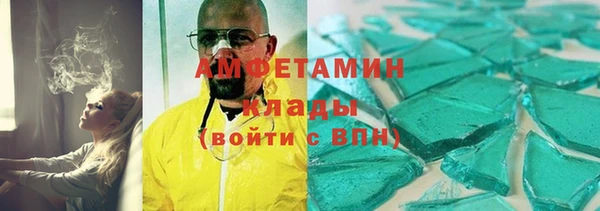 индика Осинники