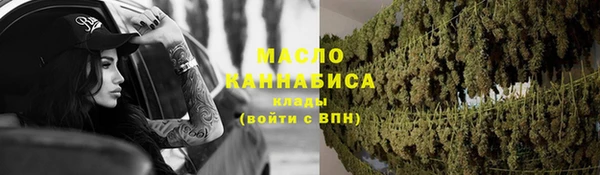 индика Осинники