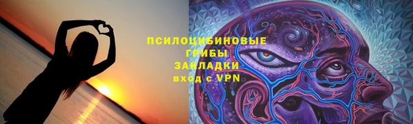 твердый Осташков
