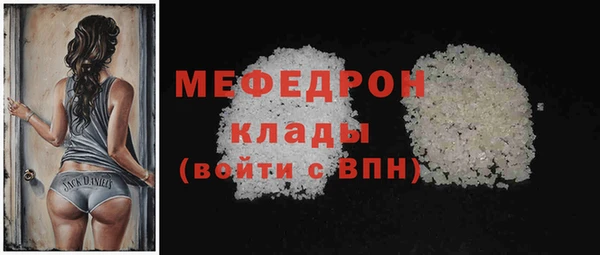 индика Осинники