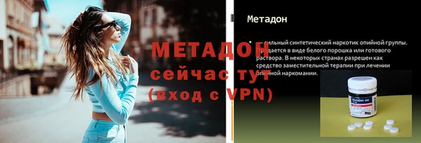 индика Осинники