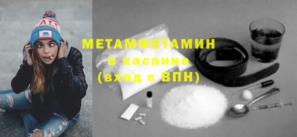 индика Осинники