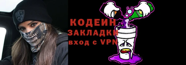 индика Осинники