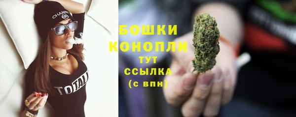индика Осинники