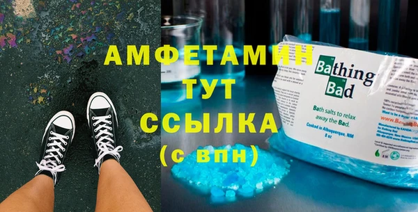 индика Осинники
