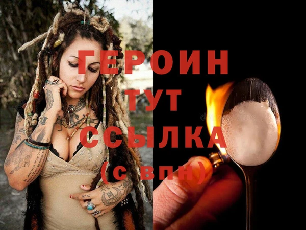 индика Осинники