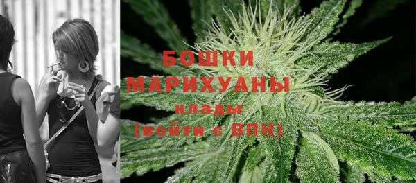 индика Осинники