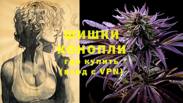 индика Осинники