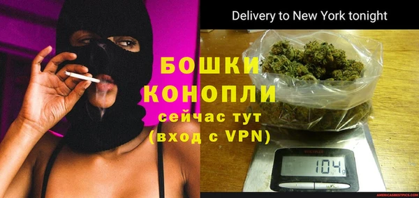 индика Осинники