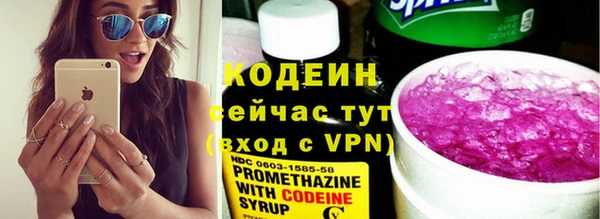 индика Осинники